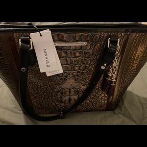 NWT Brahmin Medium Asher Fall Tortoise Cosimo
